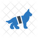 Dog Investigation Perro Icon