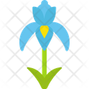 Iris Icon