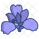 Iris Flower Flowers Icon