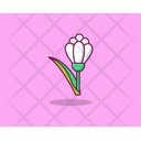 Iris Spring Flower Agriculture Icon