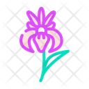 Iris Flower Icon