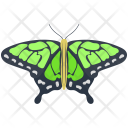 Isabella Butterfly Icon
