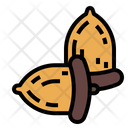 Isolated Hazelnut Nut Icon