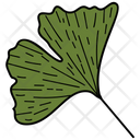 Ivy Leaf Leaf Foliage Icon