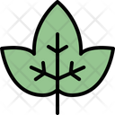 Ivy leaf Icon