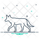 Jackal  Icon