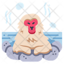 Japanese Monkey Icon