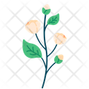 Jasmine Flower Icon
