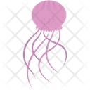Jelly Fish Icon