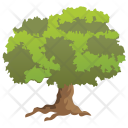 Jerusalem Thorn Green Icon