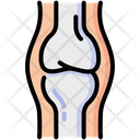 Joint Bones Anatomy Icon