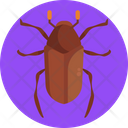 June Bug Bug Insect Icon