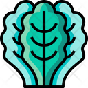 Kale Icon