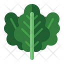 Kale Icon