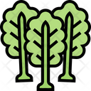 Kale Leaf Kale Leaf Icon
