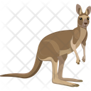 Kangaroo Mammal Animal Icon