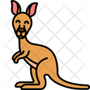 Kangaroo Animal Mammal Icon