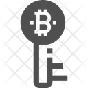 Key Bitcoin Key Key Icon