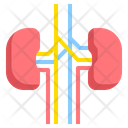 Kidney Medical Health Icon