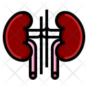Health Kidney Nephrology Icon
