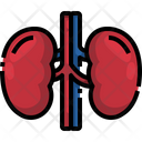Kidney Organ Body Part Icon