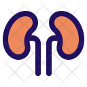 Kidney Icon