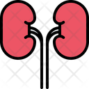 Kidney Organ Healthcare Icon