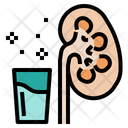 Kidney Renal Nephron Icon
