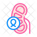 Kidneys Cancer Color Icon