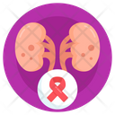 Kidney Cancer Awareness  Icon