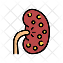 Nephritis Kidney Color Icon