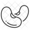 Kidney Red Seed Nut Bean Icon