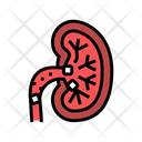 Kidney Stones Color Icon