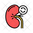 Kidney Transplant Color Icon