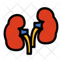 Kidneys Icon