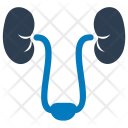 Kidneys Ureters Urology Icon