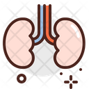 Kidneys Kidney Organ Icon