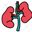 Kidneys Body Organ Icon