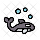 Killer Mammal Ocean Icon