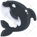 Killer Whale Sea Life Oceanic Icon
