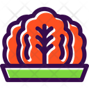 Kimchi  Icon