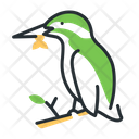 Kingfisher Bird Wildlife Icon