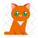 Kitty  Icon