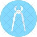Klein  Icon
