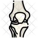 Knee Joint Bone Icon