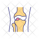 Knee Joint Icon