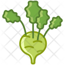 Kohlrabi Vegetable Food Icon