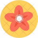 Kousa Dogwood Flower Icon