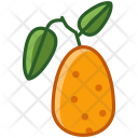 Kumkvat Fruit Fit Icon