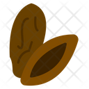 Kurma Icon